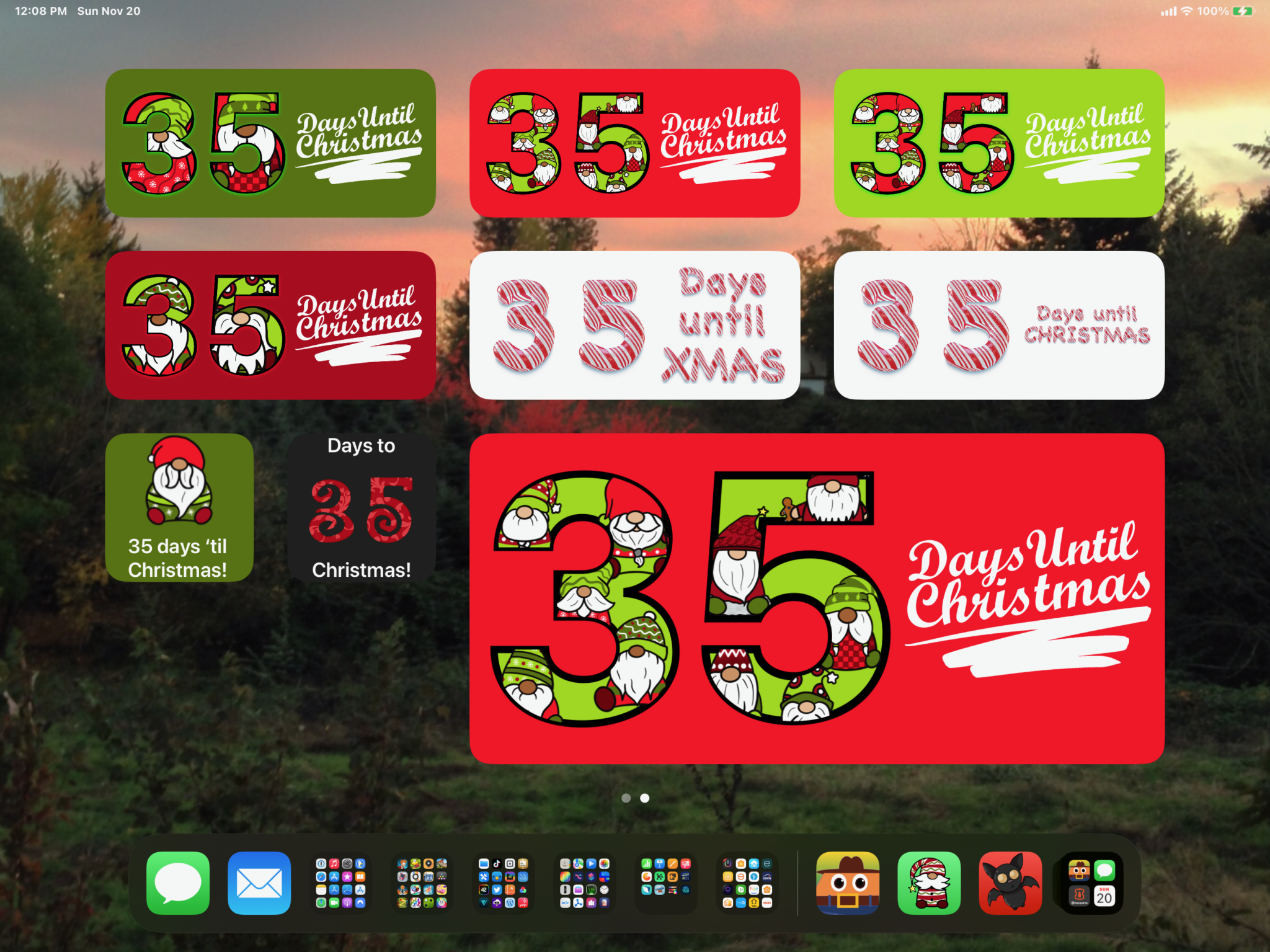 Widget samples on an iPad